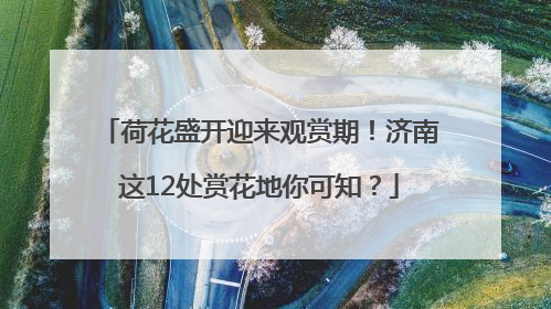 荷花盛开迎来观赏期！济南这12处赏花地你可知？