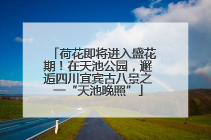 荷花即将进入盛花期！在天池公园，邂逅四川宜宾古八景之一“天池晚照”