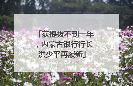 获提拔不到一年，内蒙古银行行长洪少平再履新