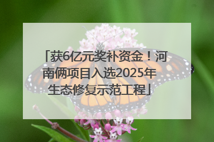 获6亿元奖补资金！河南俩项目入选2025年生态修复示范工程