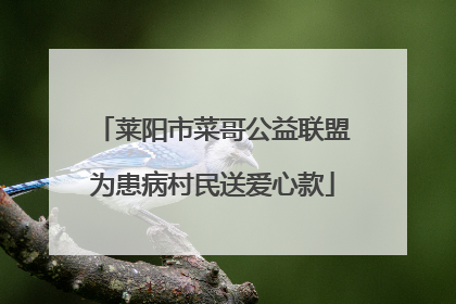 莱阳市菜哥公益联盟为患病村民送爱心款