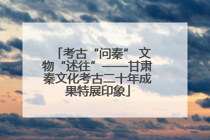 考古“问秦” 文物“述往”——甘肃秦文化考古二十年成果特展印象