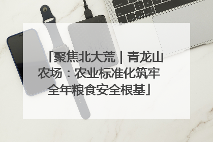 聚焦北大荒｜青龙山农场：农业标准化筑牢全年粮食安全根基
