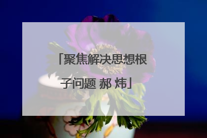 聚焦解决思想根子问题 郝 炜