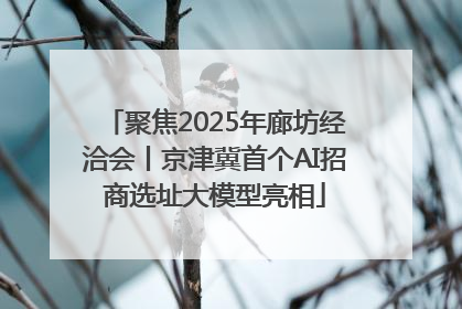 聚焦2025年廊坊经洽会丨京津冀首个AI招商选址大模型亮相