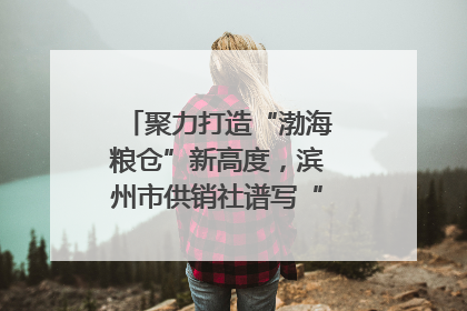 聚力打造“渤海粮仓”新高度，滨州市供销社谱写“三夏”丰收乐章