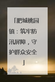 肥城桃园镇：筑牢防汛屏障，守护群众安全
