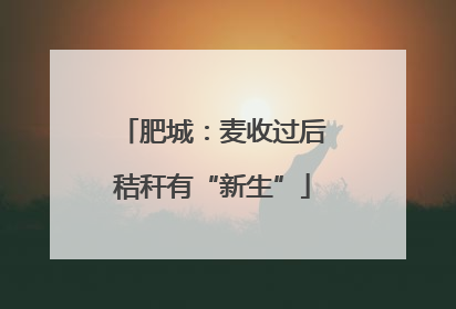 肥城：麦收过后秸秆有“新生”
