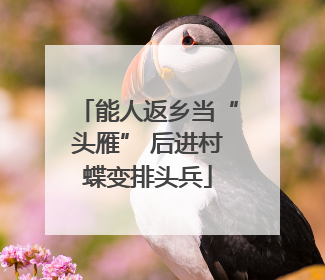能人返乡当“头雁” 后进村蝶变排头兵