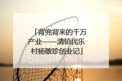 背兜背来的千万产业——清镇民乐村杨敏珍创业记