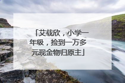 艾载欣，小学一年级，捡到一万多元现金物归原主