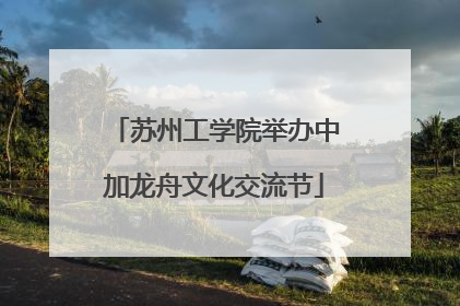 苏州工学院举办中加龙舟文化交流节