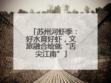 苏州河虾季：好水育好虾，文旅融合绘就“舌尖江南”