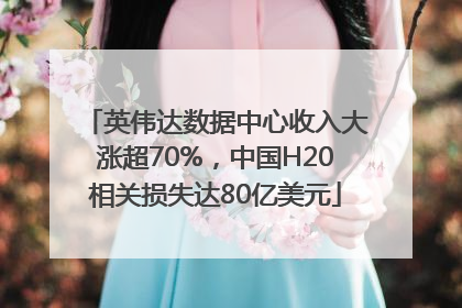 英伟达数据中心收入大涨超70%，中国H20相关损失达80亿美元