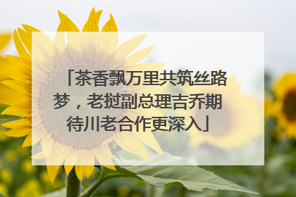 茶香飘万里共筑丝路梦，老挝副总理吉乔期待川老合作更深入