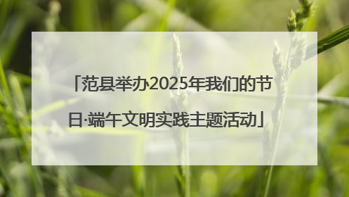 范县举办2025年我们的节日·端午文明实践主题活动