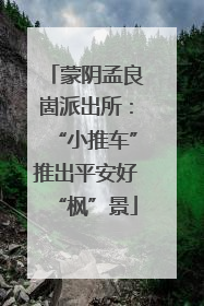 蒙阴孟良崮派出所：“小推车”推出平安好“枫”景
