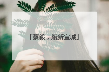 蔡毅，履新宣城