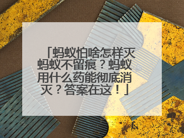 蚂蚁怕啥怎样灭蚂蚁不留痕？蚂蚁用什么药能彻底消灭？答案在这！