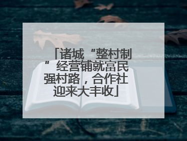 诸城“整村制”经营铺就富民强村路，合作社迎来大丰收