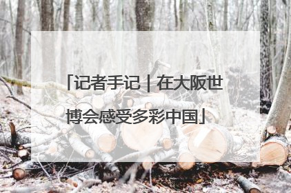 记者手记｜在大阪世博会感受多彩中国