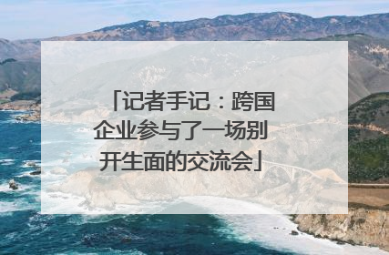 记者手记：跨国企业参与了一场别开生面的交流会