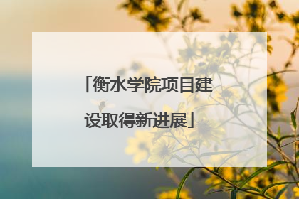衡水学院项目建设取得新进展