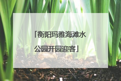 衡阳玛雅海滩水公园开园迎客