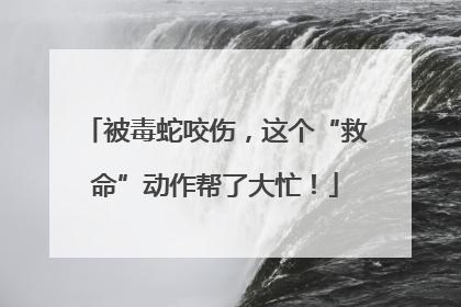 被毒蛇咬伤，这个“救命”动作帮了大忙！