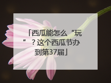 西瓜能怎么“玩”？这个西瓜节办到第37届