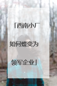 西南小厂如何蝶变为领军企业