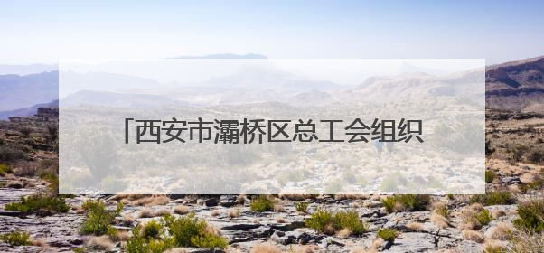 西安市灞桥区总工会组织集体协商现场观摩活动