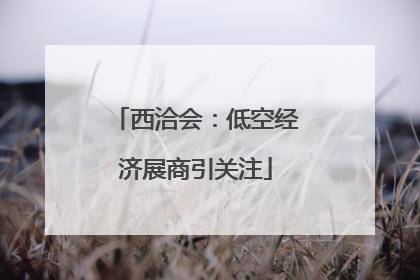 西洽会：低空经济展商引关注