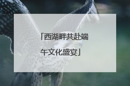 西湖畔共赴端午文化盛宴