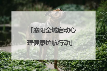 襄阳全域启动心理健康护航行动