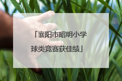 襄阳市昭明小学球类竞赛获佳绩