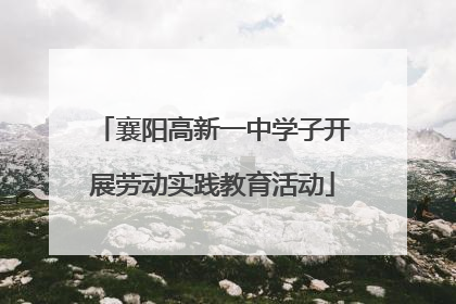 襄阳高新一中学子开展劳动实践教育活动