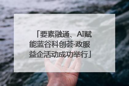 要素融通、AI赋能蓝谷科创荟·政服益企活动成功举行