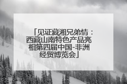 见证藏湘兄弟情：西藏山南特色产品亮相第四届中国-非洲经贸博览会