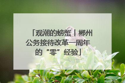 观潮的螃蟹丨郴州公务接待改革一周年的“零”经验