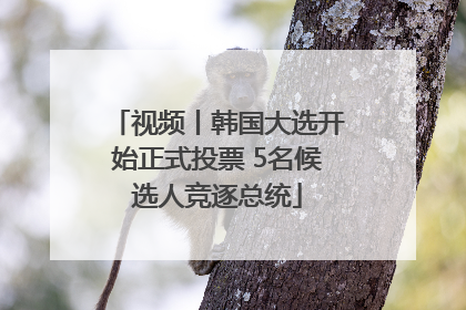 视频丨韩国大选开始正式投票 5名候选人竞逐总统