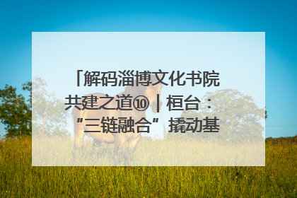 解码淄博文化书院共建之道⑩｜桓台：“三链融合”撬动基层文化共治新动能