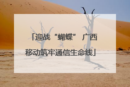 迎战“蝴蝶” 广西移动筑牢通信生命线