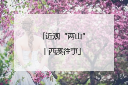 近观“两山”丨西溪往事