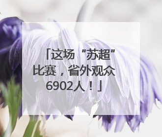 这场“苏超”比赛，省外观众6902人！