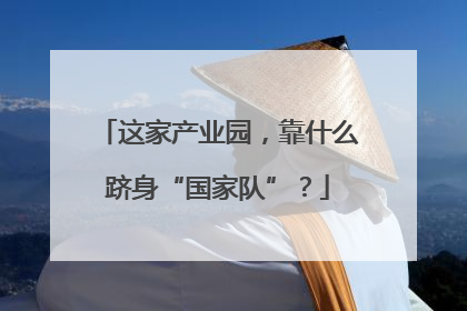 这家产业园，靠什么跻身“国家队”？