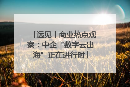 远见丨商业热点观察：中企“数字云出海”正在进行时