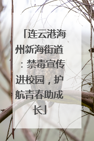 连云港海州新海街道：禁毒宣传进校园，护航青春助成长