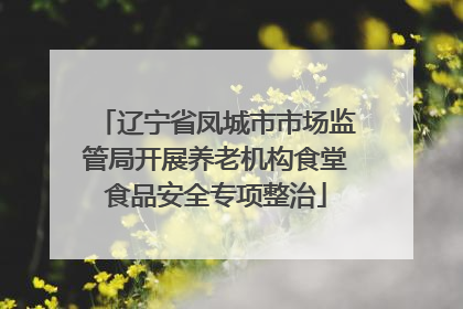 辽宁省凤城市市场监管局开展养老机构食堂食品安全专项整治