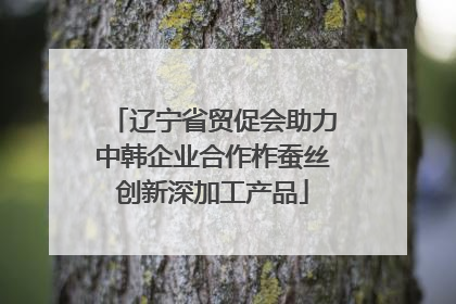 辽宁省贸促会助力中韩企业合作柞蚕丝创新深加工产品
